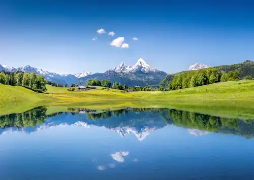 Auditing and reporting